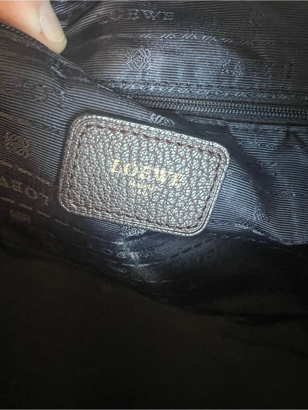 Loewe Amazona Bag